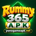 Rummy 365 tile illustration by Yono Game APK (not the official app icon)